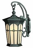 Warwick Patina Black Outdoor Wall Light Hinkley (1215PT)