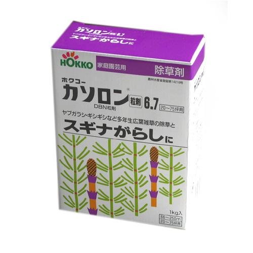 Cover image : スギナがらしに！カソロン粒剤6.7 容量:1Kg