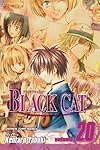 Black Cat, Volume 20 (Black Cat (Graphic Novels))