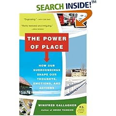 The Power of Place: How Our Surroundings Shape Our Thoughts, Emotions, and Actions (P.S.)