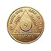 9 Month Bronze AA (Alcoholics Anonymous) - Sober / Sobriety / Birthday / Anniversary / Recovery / Medallion / Coin / Chip by Generic