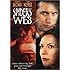 SPIDER'S WEB