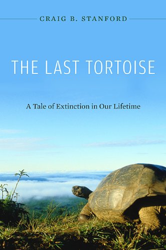 the last tortoise a tale of extinction in our lifetime