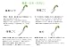 Radius 移植ごて NRG100 別画像