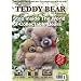 The Teddy Bear Annual