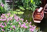 IMAGE OF Wallmonkeys Peel and Stick Wall Decals - Wooden Boat - 48