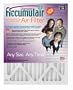 14x18x1 (Actual Size) Accumulair Diamond Filter (MERV 13) (2 Pack)