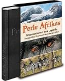 Perle Afrikas: Impressionen aus Uganda: Berggorillas, Ruwenzori-Mondberge, Safari - 