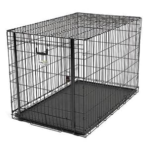 Midwest Ovation Single Door Dog Crate with Up & Away Door Midwest Ovation Single Door Dog Crate with Up & Away Door
