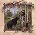 Black Bears II by Anita Phillips. Size 12.00 inches width by 12.00 inches height. High Quality Art Poster Print