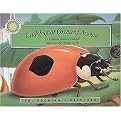 Ladybug at Orchard Avenue (Mixed media product)