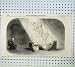 1855 SHAKESPEARE HENRY EIGHTH PRINCESS THEATRE QUEEN