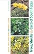 Trees, Shrubs, and Cacti of South Texas (Revised Edition)
