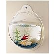 Bubble Wall Mount Fish Tank Bubble Wall Mount Fish Tank