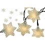Set of 10 Glittery Fashion Snowflake Christmas Lights #ES72-198