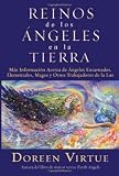 Los Reinos de los Angeles en la Tierra: Informacion adicional sobre Angeles encarnados, Elementales, Magos y otros Trabajadores de la Luz (Spanish Edition)
