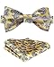 SetSense Men's Paisley Printing Self Bow Tie Set