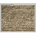 Andreas Gursky: Architektur