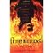 Firebird modern fantasy books for older teens and adults