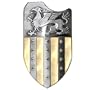 Medieval Griffin Shield