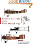 French aircraft of the First World War