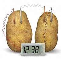 eFashion Potato Clock Science Kit Green Vegetable Power