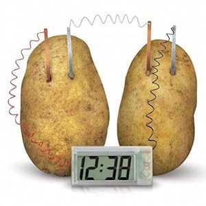 Amazon.com - eFashion Potato Clock Science Kit Green Vegetable Power