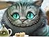 micra-cat