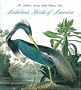 Audubon's Birds of America