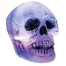 Color-Changing Skull Halloween Decoration