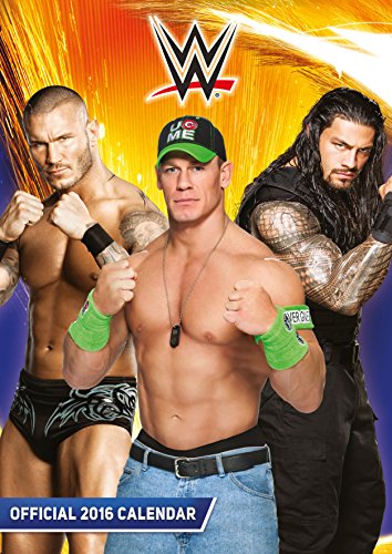 The Official World Wrestling (Wwe) 2016 A3 Calendar