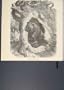 Black Bear Bears Winter Quarters Home Hibernation Print