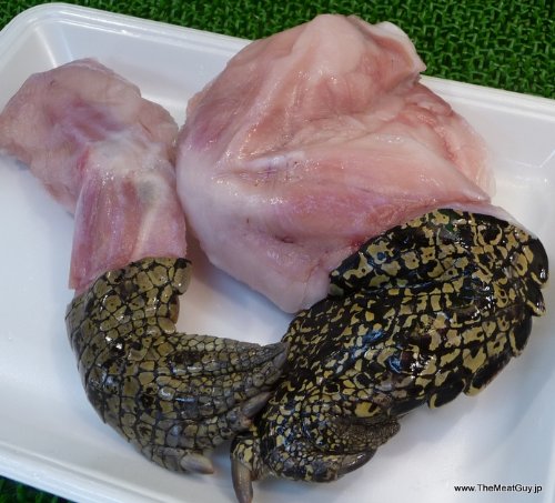 クロコダイルつめ2本セット（わにの前脚＆後脚）　ワニ肉 【販売元：The Meat Guy(ザ・ミートガイ)】