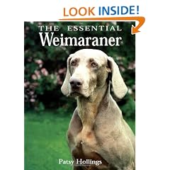 The Essential Weimaraner