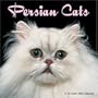 Persian Cats 2008 Wall Calendar