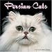   - Persian Cats 2008 Wall Calendar