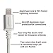 Pangea Audio Lightning to USB A - White/Silver/White Braid - Metal Connectors - 6 Foot