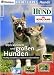Image of Liebe Tiere ! - Hunde: Von kleinen und großen Hunden