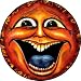 Crazy Sun Face Spare Tire Cover