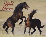 Wild Horses 2013 Wall Calendar