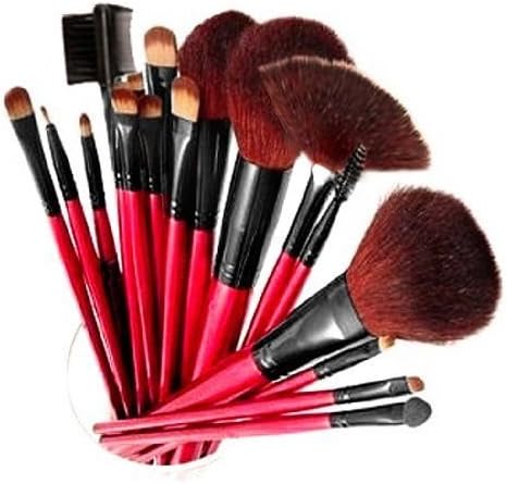 SHANY Professional 13-Piece Cosmetic Brush Set with Pouch, Set of 12 Brushes and