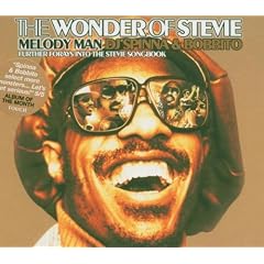 Melody Man (The Wonder Of Stevie) (Dj Spinna & Bobbito)