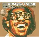 Melody Man (The Wonder Of Stevie) (Dj Spinna & Bobbito)