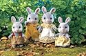 Cottontail Rabbit Family