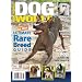 Dog World (1-year)