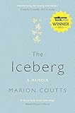 The iceberg