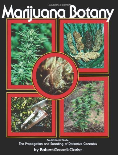 marijuana botany an advanced study the propagation and breeding of distinctive cannabis
