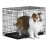 MidWest iCrate Double-Door Folding Metal Dog Crate, 30 Inches by 19 Inches by 21 Inches