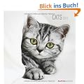 Katzen Kalender 2011