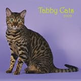 Tabby Cats 2009 Calendar
